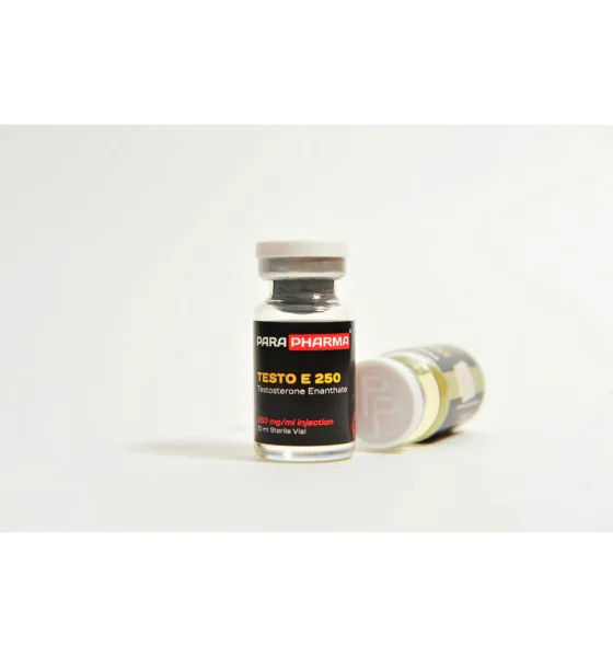 12 TESTO E 250 Para Pharma - Image 1