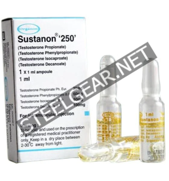 8 Sustanon Organon 1 ml 250 mg - Image 1
